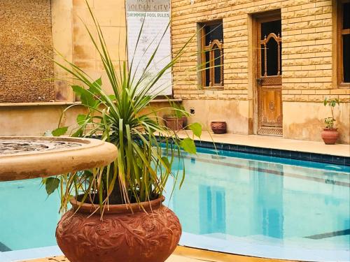 a plant in a pot next to a swimming pool at Hotel Golden City with Swimming Pool in Jaisalmer