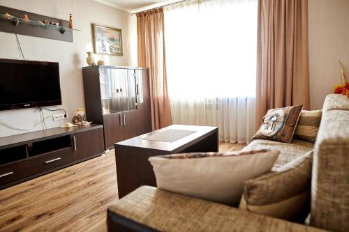 ヴィーンヌィツャにあるFamily apartment on Shevchenko streetのリビングルーム(ソファ、テレビ付)