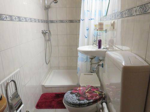 y baño con aseo, lavabo y ducha. en Haus Antonis, en Triberg