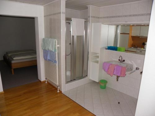 La salle de bains est pourvue d'une douche et d'un lavabo. dans l'établissement Ferienwohnung Ski-Hans, à Planneralm
