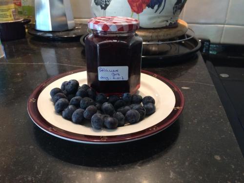 Mad på bed and breakfast-stedet eller i nærheden