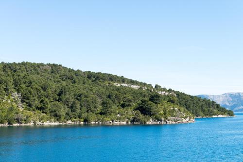 an island in the middle of a large body of water at Apartments Angelo in Polače