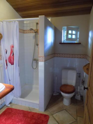 een badkamer met een bad, een toilet en een douche bij Vakantiehuis Charmant in Brakel