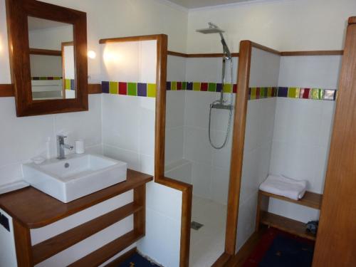 a bathroom with a sink and a shower at Château Bel-Air in Villers-Farlay
