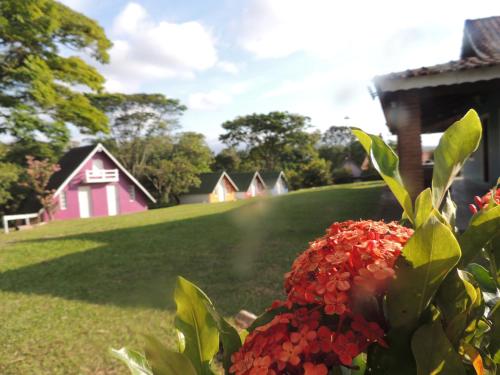 a group of houses in a field with flowers at Pousada Sitio Roda D'Água Mairinque in Mairinque