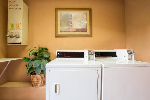 a room with two washing machines and a plant at Baymont by Wyndham Lake City in Lake City