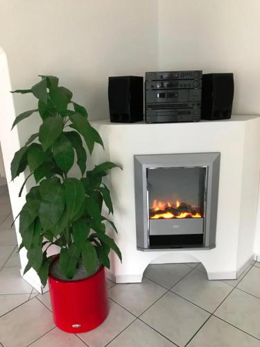 a plant in a red pot next to a fireplace at Residenza San Remy in Unterkulm