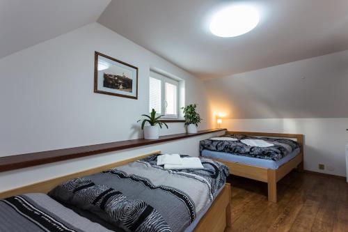 a bedroom with two beds and a window at Attic Rooms Tábor in Tábor