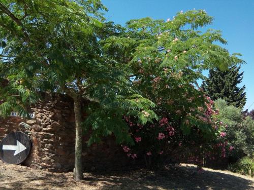 Gallery image of La Caldera Vieja in Zalamea la Real