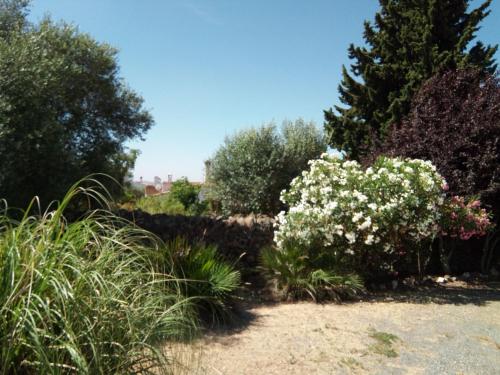 Gallery image of La Caldera Vieja in Zalamea la Real