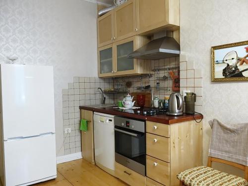 Kuchyň nebo kuchyňský kout v ubytování Majakovski Family Suite