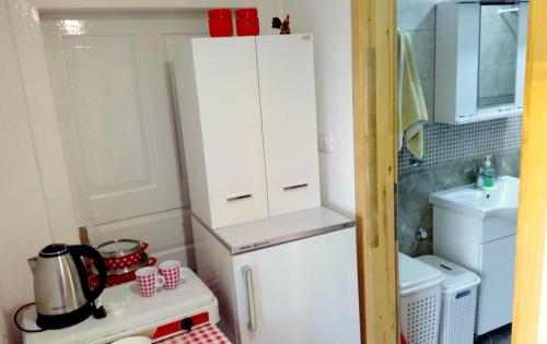 Kuchyň nebo kuchyňský kout v ubytování Apartmani Bosco