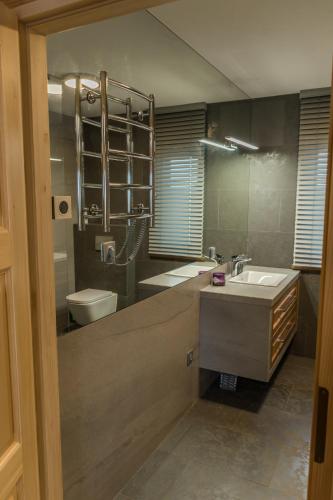 a bathroom with a sink and a toilet at Krzywy Zakątek in Cisna