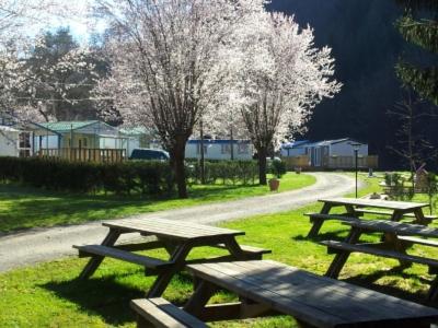 Trois tables de pique-nique dans l'herbe près d'une route dans l'établissement le moulin brûlé, à Chazelles-sur-Lyon