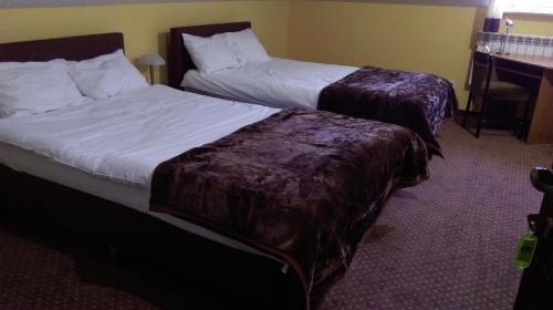 Pokój hotelowy z 2 łóżkami i biurkiem w obiekcie Pod Lwami w mieście Błonie