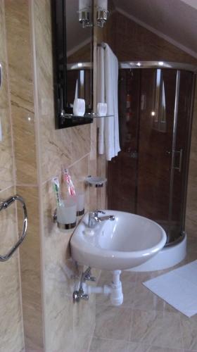 ein Badezimmer mit einem weißen Waschbecken und einem Spiegel in der Unterkunft Pod Lwami in Błonie
