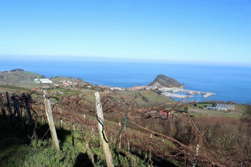 Paesaggio naturale nelle vicinanze del bed & breakfast