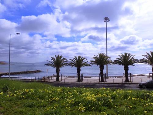 a row of palm trees on a sidewalk next to the ocean at Entre o Mar e Lisboa in Oeiras