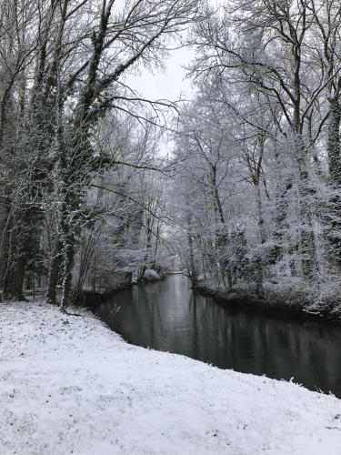 a river with snow on the branches of trees at Chalet au Coeur de Foret Gouvieux in Gouvieux