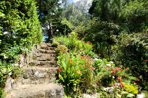 Κήπος έξω από το Mount Mary Inn