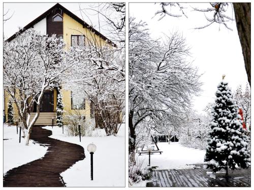 two pictures of a snow covered yard with a christmas tree at Stupina in Braşov