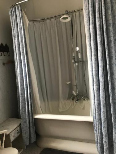 a bathroom with a bath tub with a shower curtain at Casa Magnolia B & B in Saint Louis