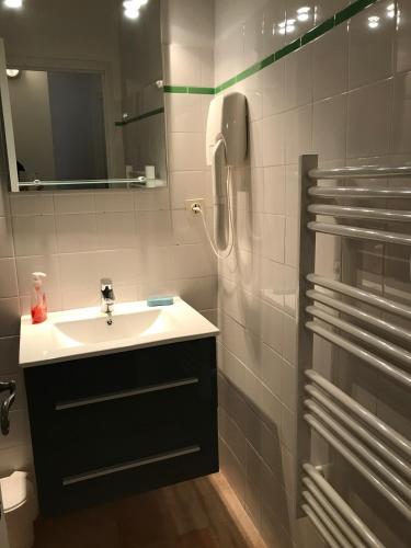een badkamer met een wastafel en een douche bij Hellebore in Le Mas