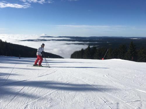 a person is skiing down a snow covered slope at Apartments Villa Viola in Kovářská