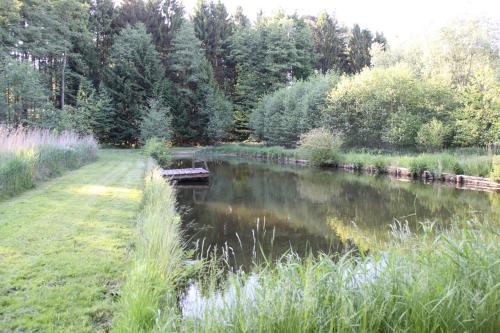 a river with a bridge in the middle of a field at Ferien im Bomlitztal in Bomlitz