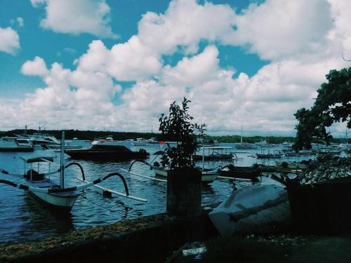 Landskap semula jadi dekat dengan homestay