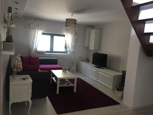 Una sala de estar con un sofá y un televisor. en Maison Rosmina, en Brasov