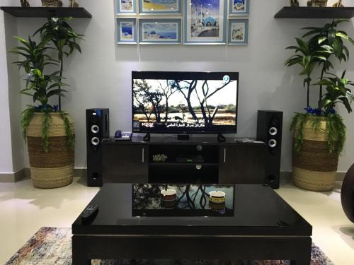 un salon avec une télévision et deux plantes en pot dans l'établissement Santorini Seafront Stay, à Alexandrie