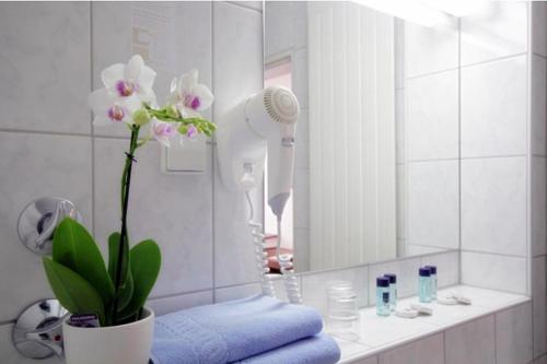a bathroom with a sink with a mirror and a plant at Hotel Regina in Ludwigshafen am Rhein
