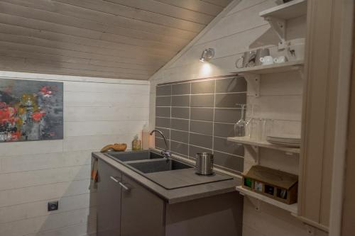a small kitchen with a sink in a room at L'Esprit du Bois in Aydat