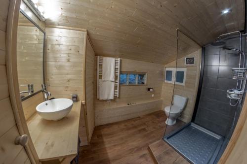 a bathroom with a sink and a shower and a toilet at L'Esprit du Bois in Aydat