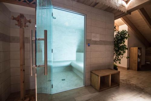 a shower with a glass door in a bathroom at Le Relais du Petit Saint Bernard in La Rosière