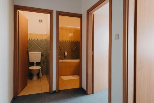 a bathroom with a toilet and a tub at Červený Mlýn in Tišnov