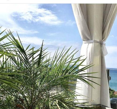 Gambar di galeri bagi Hotel Senator di Ulcinj