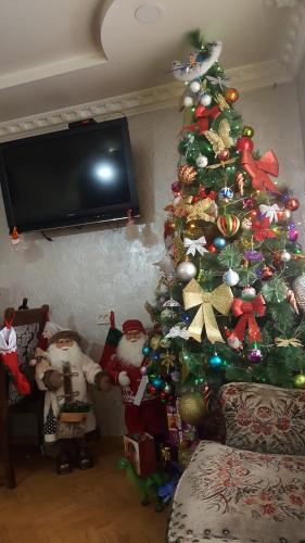 a living room with a christmas tree with presents at Mestia 4 season in Mestia