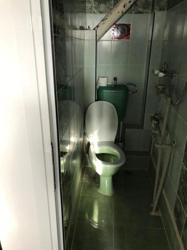 a bathroom with a green toilet in a stall at City Hostel Sofia in Sofia