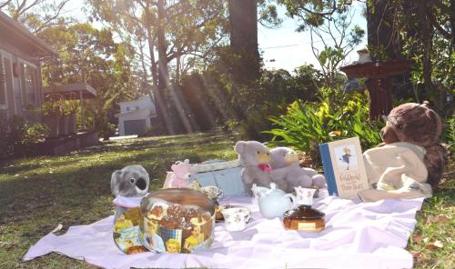 a group of stuffed animals sitting on a picnic blanket at Casa Husky in Huskisson