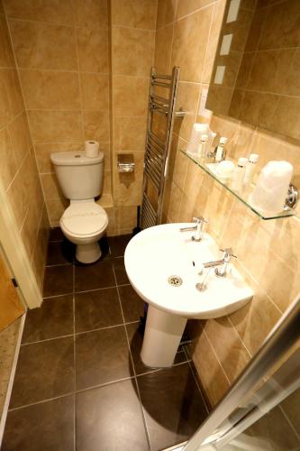 a bathroom with a white sink and a toilet at Woodlands in Windermere
