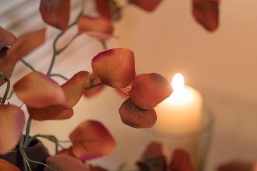 a candle sitting next to a vase with flowers at Ferienwohnung Residenz bis 6 Gäste , Ferienwohnung Dresden bis 4 Gäste, Ferienwohnung Elbflorenz bis 2 Gäste in Dresden