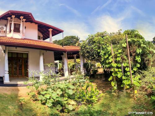 Zahrada ubytování Ceylon Pearlwing Resort
