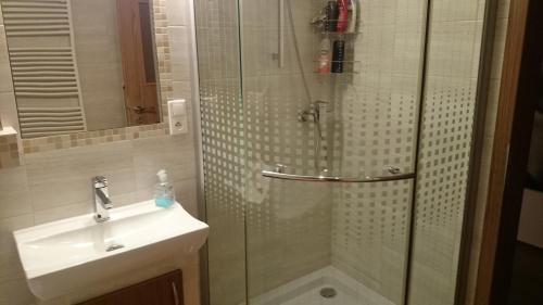 uma casa de banho com uma cabina de duche em vidro e um lavatório. em apartman Lusy em Veľká Lomnica