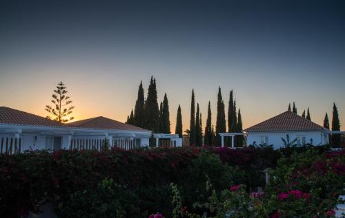 a row of white houses with trees and flowers at Octant Vila Monte in Moncarapacho