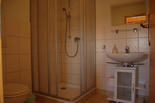 a bathroom with a shower and a sink at Heu-Ferienhof Altkamp in Putbus