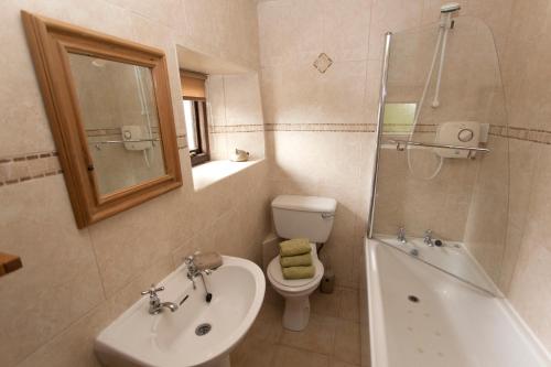 a bathroom with a sink and a toilet and a shower at Tomboys Cottage in Hulme End