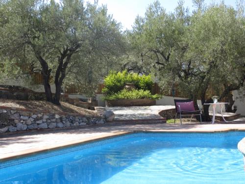 a swimming pool in a yard with trees at Colores en el Viento in Frigiliana