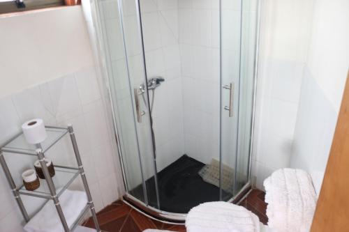 a shower with a glass door in a bathroom at Chiloe Domos Curaco de Vélez in Curaco de Velez